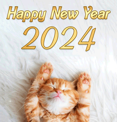 Rudy kociak szczęśliwego nowego roku 2024